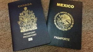 Captura de pantalla 2025-05-28 170754